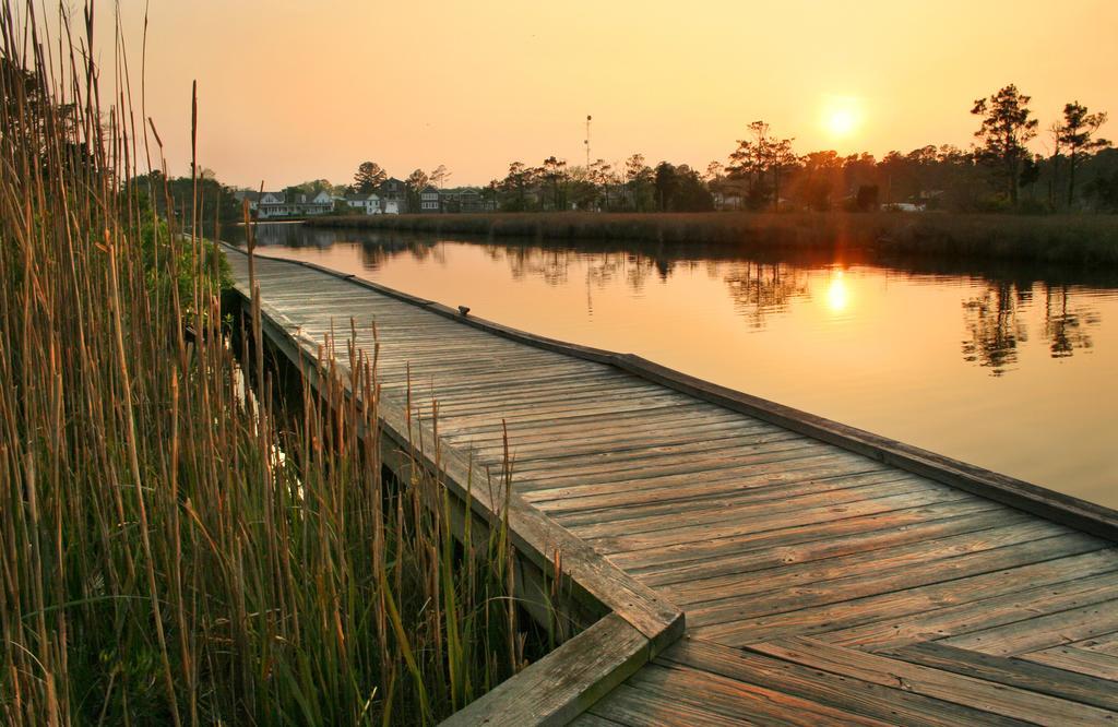 White Doe Manteo